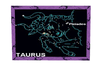 taurus picture 3