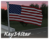 Animated American Flag