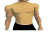transp muscled top gold