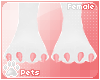 [Pets] Kissa | feet