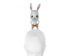 uni-ace bunny