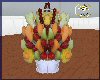 Fruit Bucket Display