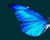 Blue Butterfly Actions