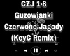 GUZOWIANKI - CZERWONE JA