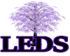 LEDS Purp-le Light Tree