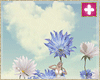 spring vibe's 2