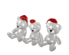 Christmas Teddy