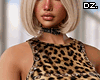D. Kimmy Set - Leo