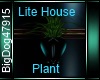 [BD] Lite House Plant