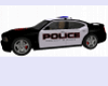 carro de policia