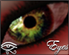 [D] ~F~ Amphisbaena Eyes