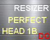 PERFECT HEAD 1B