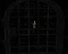 Dark Cellar CUSTOM