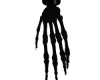 BONE HANDS F