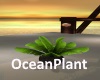 [BD]OceanPlant