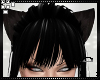 Eo* Black Kitty Ears