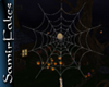 SF/Halloween Spider