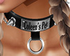 Coleen's Pet Collar