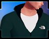 Hoodie TNF