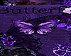 🅲 Butterfly BG