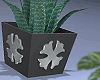 金 CHROME PLANT