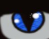 E❤ Blue Cat Eye