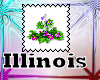 Illinois State Flower