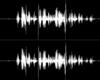 Vozes diversas