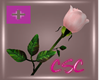 *CS* Pink Rose Handheld