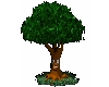 Cute Animated Tree