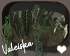 VK~Rounded Wall Planter