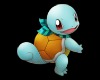 [D.E]Squirtle