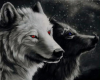 White wolf youtube Radio