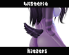 Wisteria | Tail 3