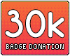 30k Support