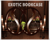 EXOTIC BOOKCASE
