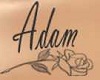 tattoo Adam
