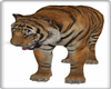 {R}Tiger Animated Pet