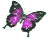 purple butterfly