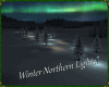 Winter Northern Lights