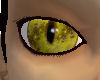 brown/green cat eyes