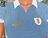 Polo Uruguay World Cup