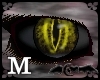 Gold Black Cat Eyes