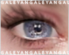 A | Zell undereye shadow