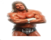Triple H sticker