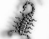 M. Scorpion |Earrings|