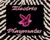 Electric Playmate Sign