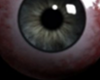 [SS] Zombie Eyes
