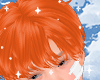 Wen Ginger