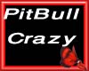 pitbull-crazy [Eva7]